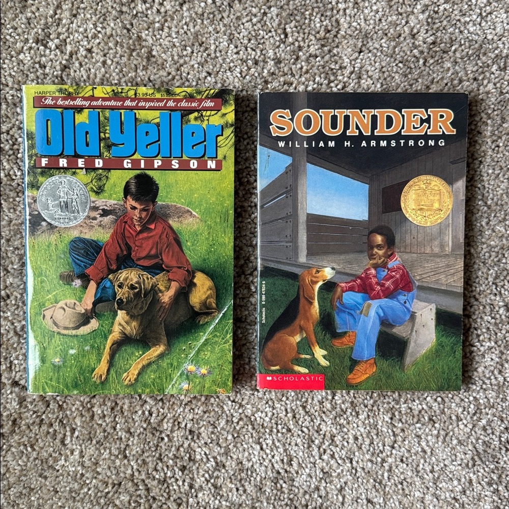 Chapter Books (2) - Picture 1 of 4